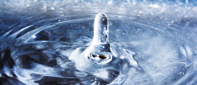 Water Fluoridation History