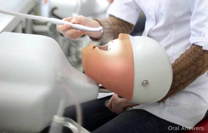 Dental Student Working on Mannequin