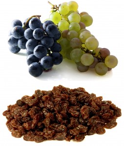 Grapes, Raisins, and Your Teeth