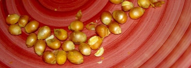 Cracked Teeth Can Occur from Chewing Unpopped Popcorn Kernels
