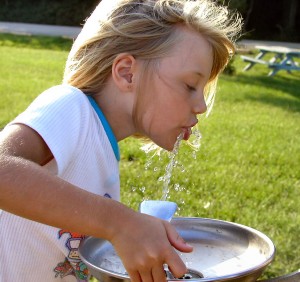 Drinking Fountain Fluoridated Water