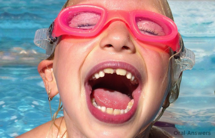 Baby Teeth and Permanent Teeth Comparison