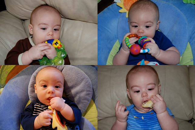 Teething Habits