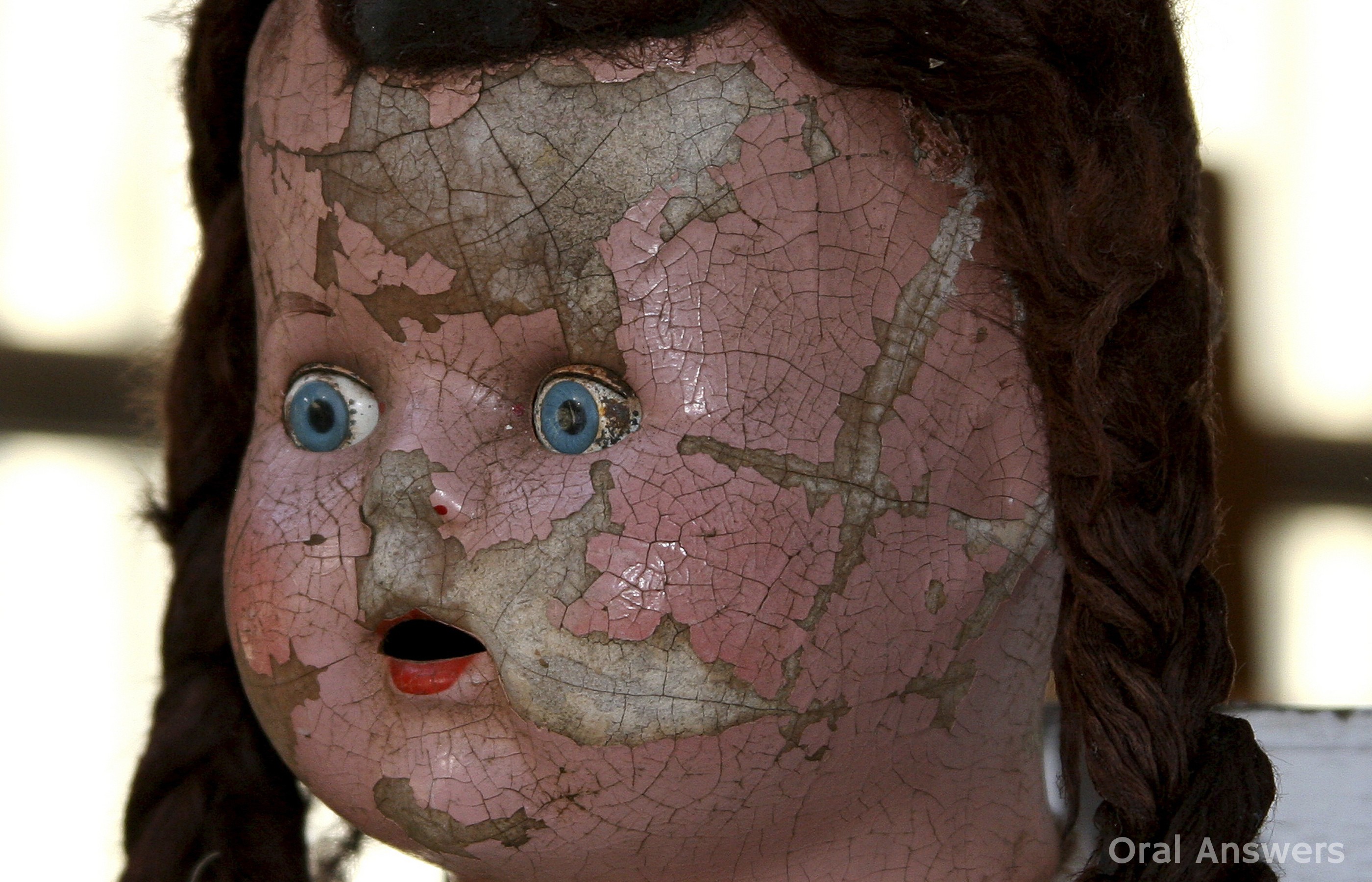 design doll reddit crack design doll reddit crack