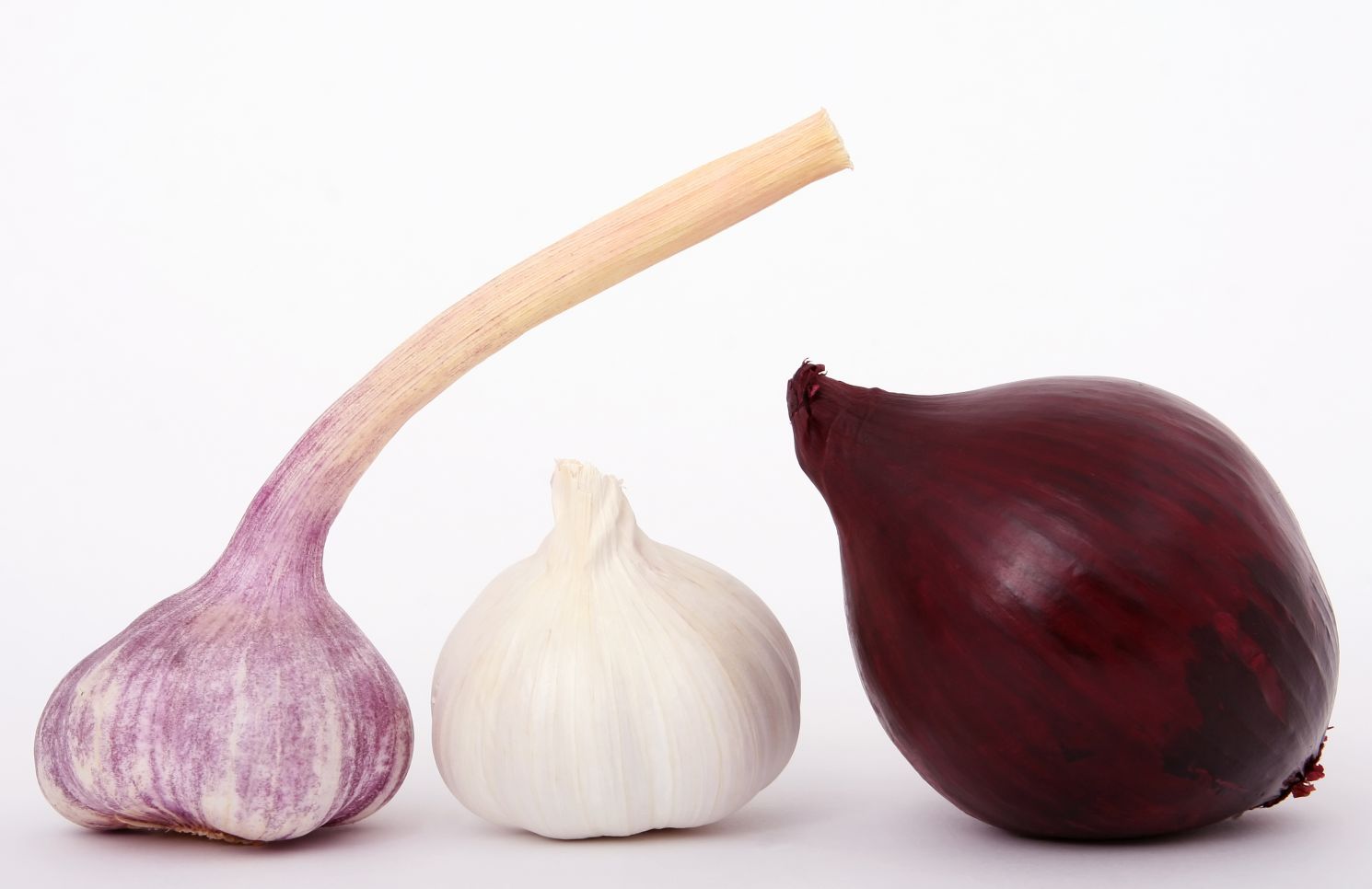 Eight Causes of Bad Breath It’s Not Just Onions & Garlic Oral Answers