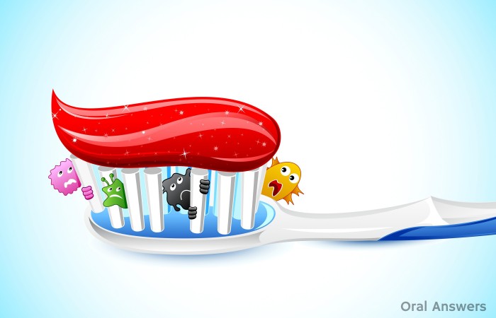 Toothbrush Sanitizers Toothbrush Germs
