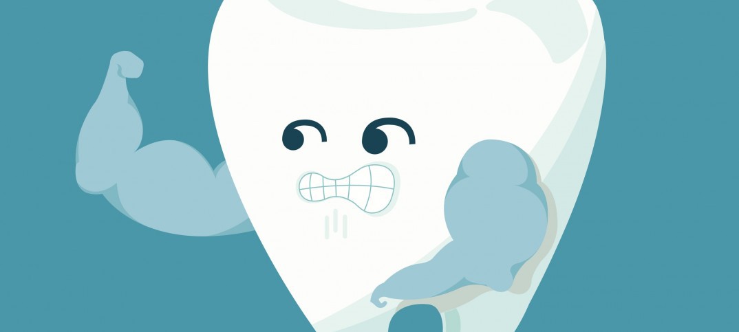 Anatomy of a Tooth
