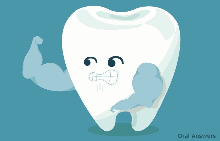 Anatomy of a Tooth
