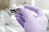 Reasons Dentists Take Impressions of Your Teeth