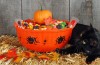 Should Dentists Buy Back Halloween Candy?